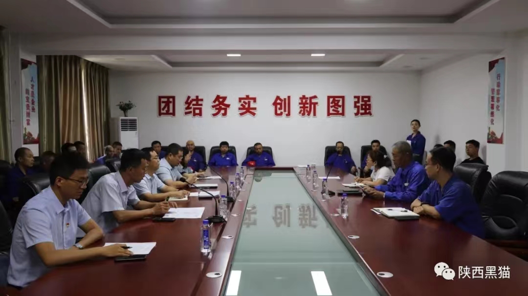 陕西黑猫党委顺利通过五星级党组织复审